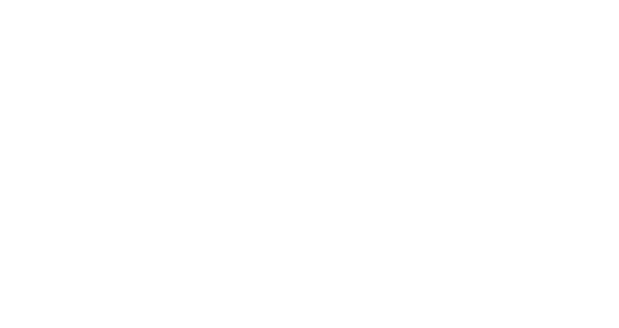 Hidden & Seen