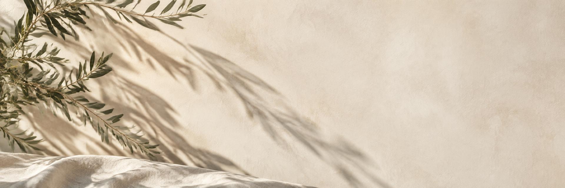Olive branches casting afternoon shadows across warm plaster and linen